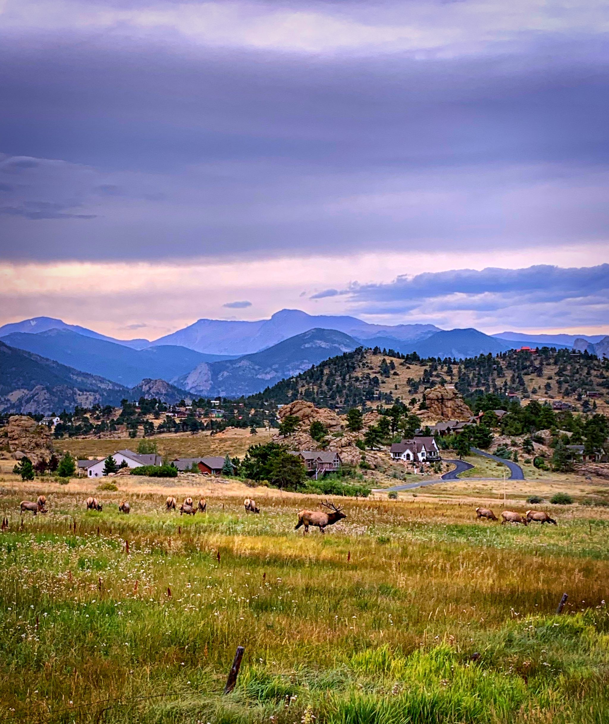 Rocky Mountain National Park Drive – Resist the Mundane