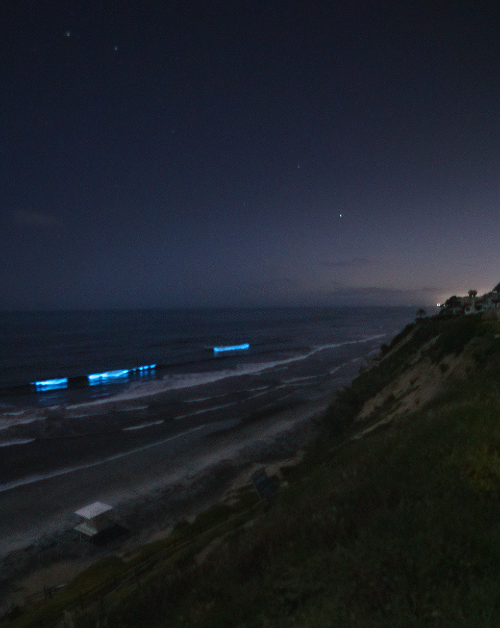 Visit a Bioluminescence Beach in Southern California – Resist the Mundane