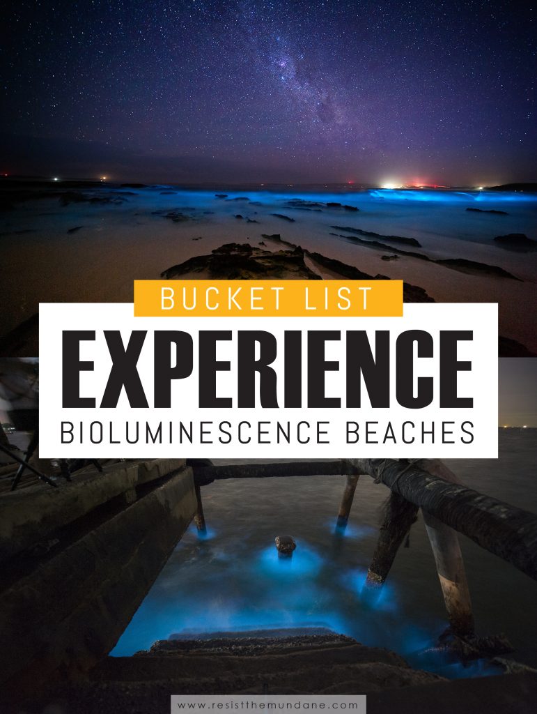 Visit a Bioluminescence Beach in Southern California Resist the Mundane