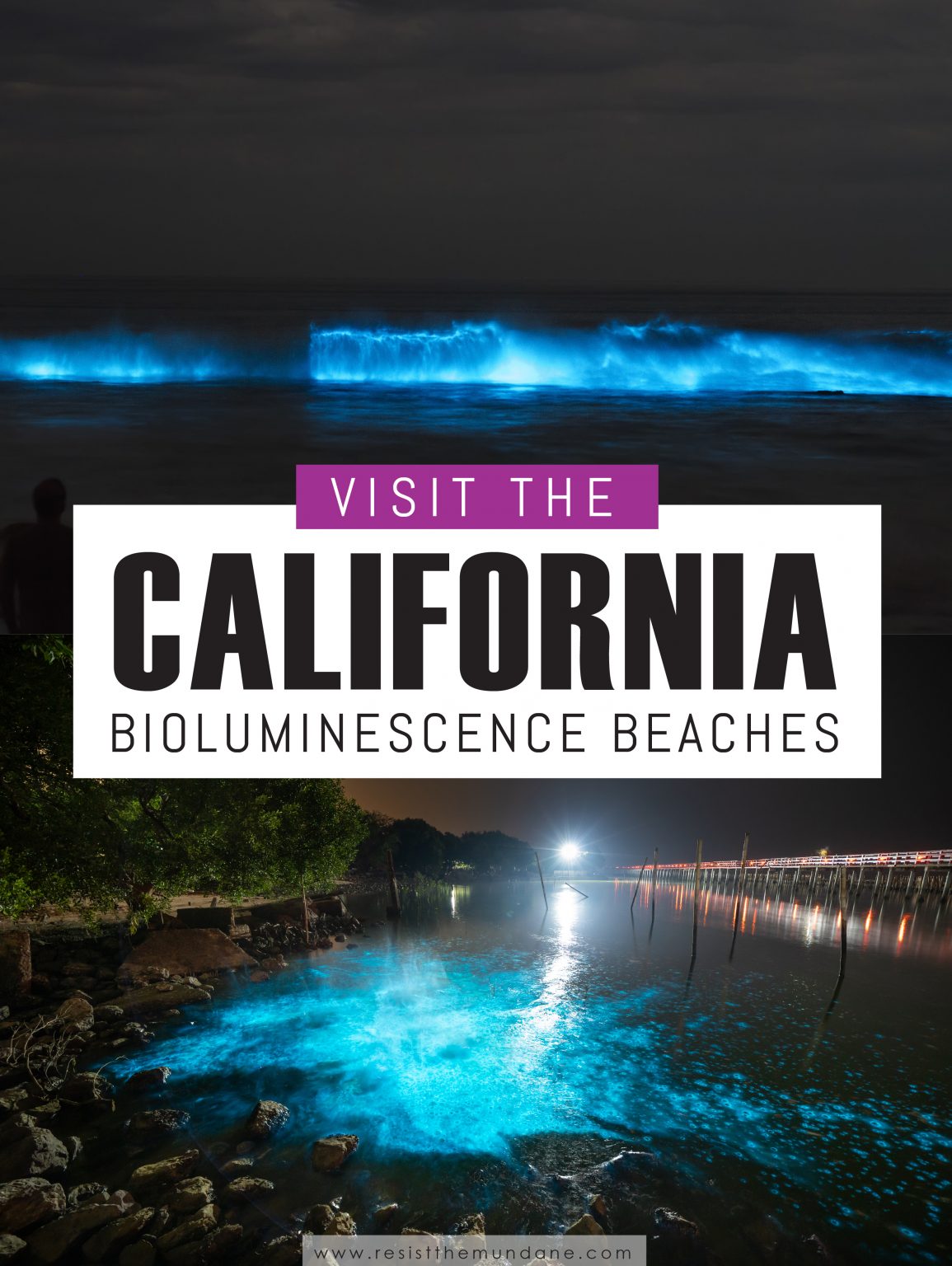 Visit a Bioluminescence Beach in Southern California Resist the Mundane