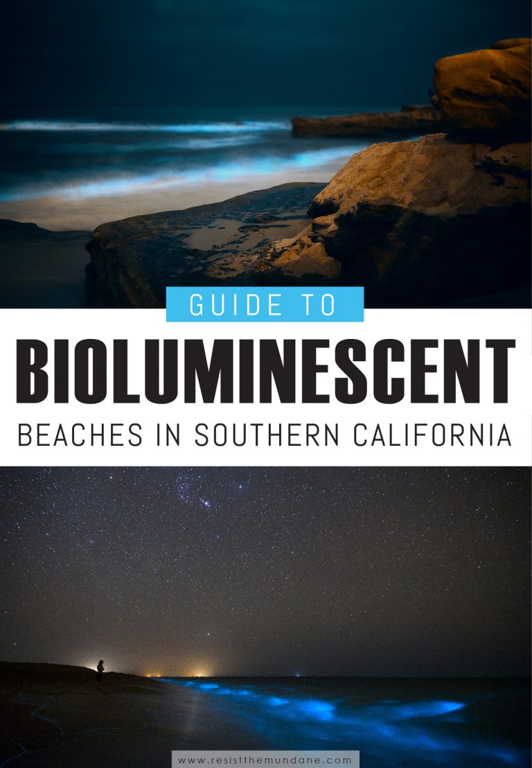 Visit a Bioluminescence Beach in Southern California Resist the Mundane