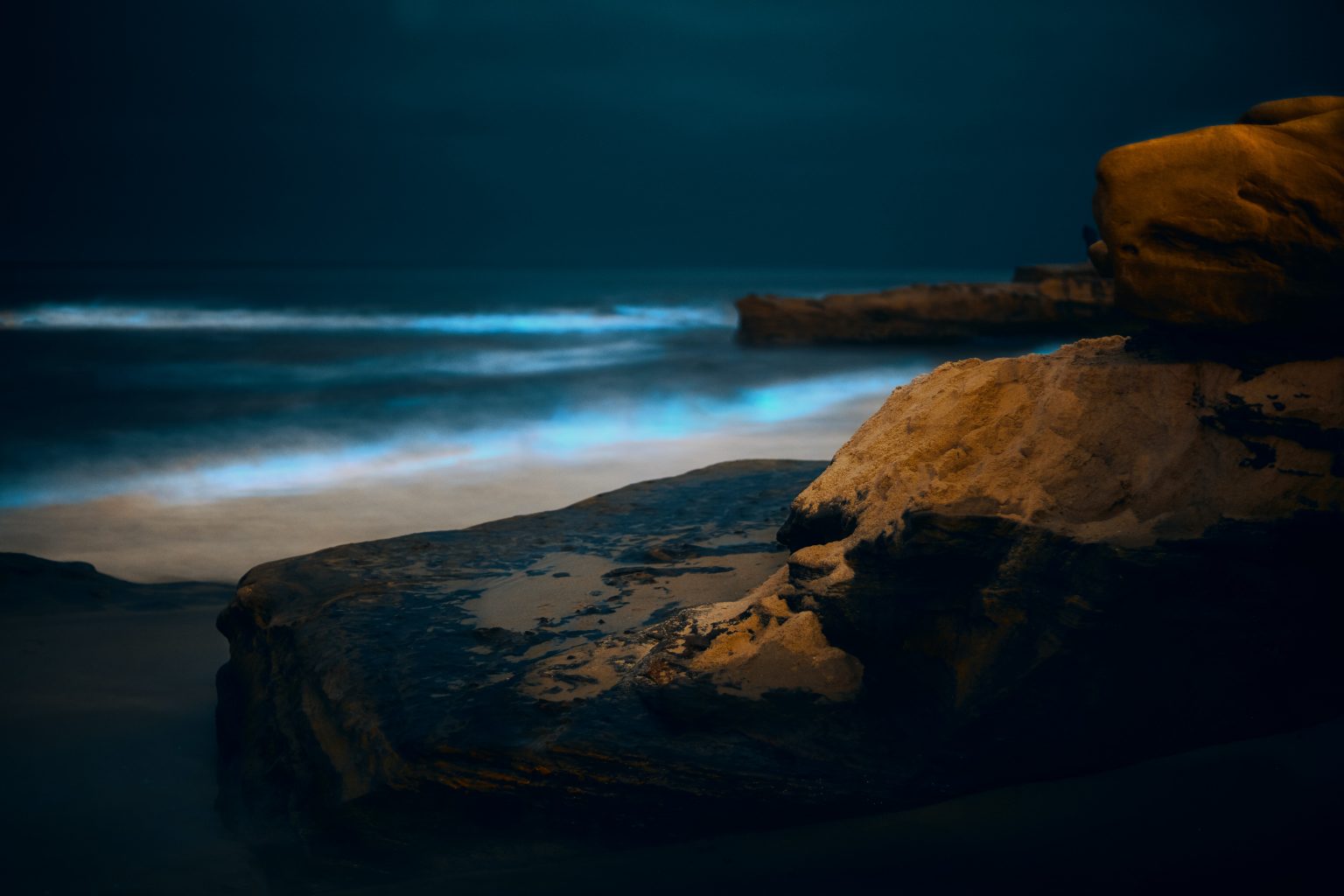 Visit a Bioluminescence Beach in Southern California Resist the Mundane