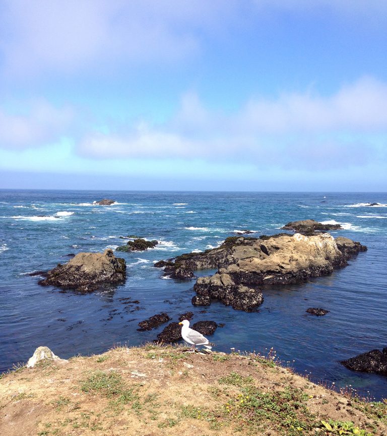 Nature Lover’s Guide to a Northern California Road Trip – Resist the ...