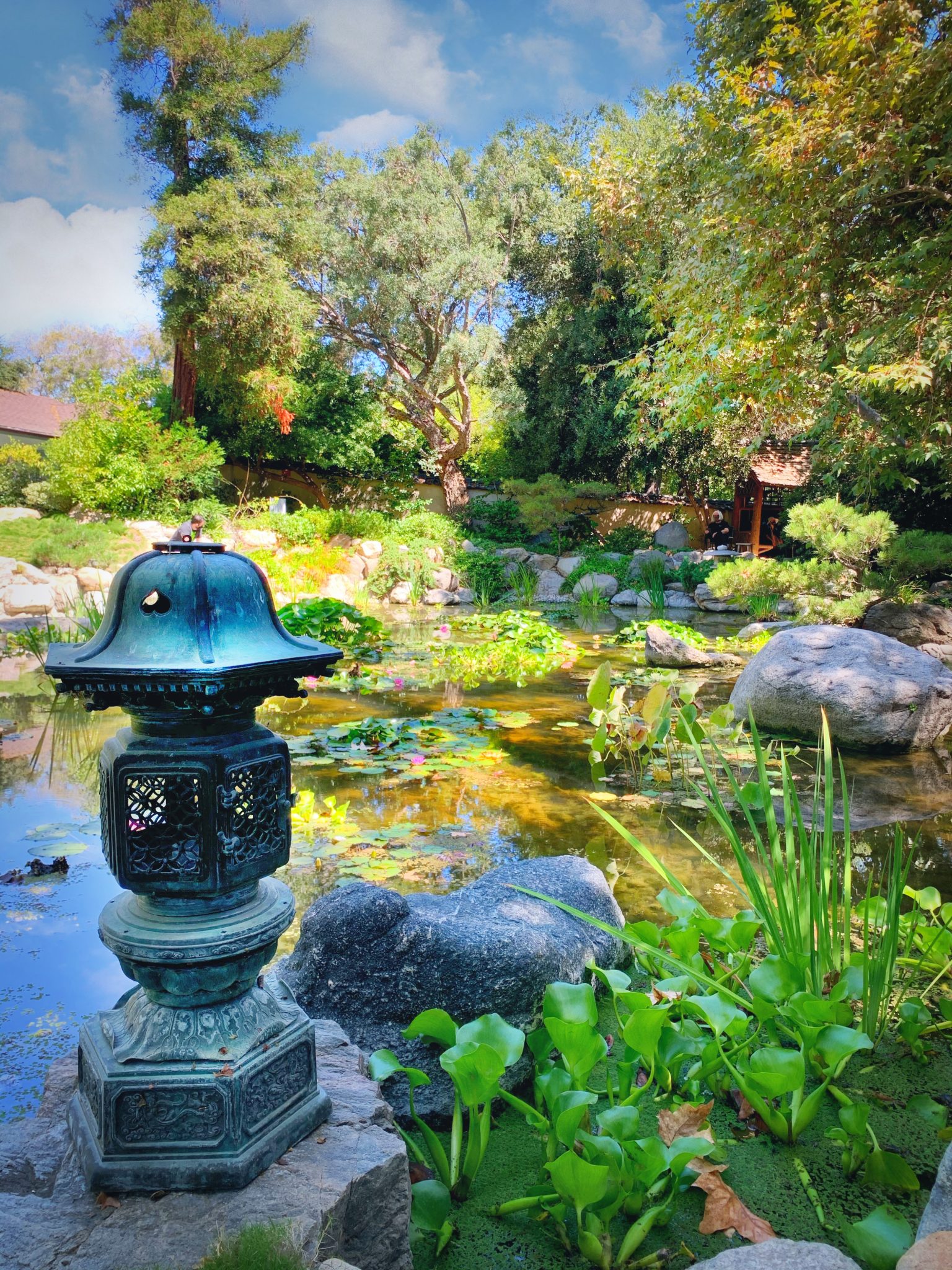 Visit the Best Botanical Gardens in Los Angeles – Resist the Mundane